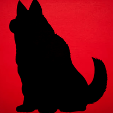 belirsi min 1 Animelerden